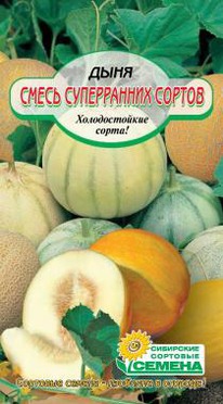 ����� ����������� ������ ����