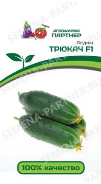 ������ F1 ������ ����