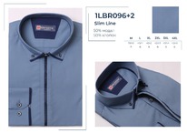  1LBR096+2*  . . . Brostem