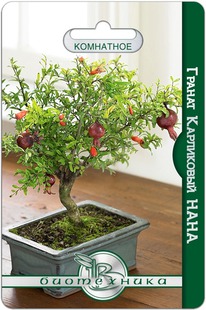 ������ ���������� ����