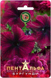 ������� ��������� F1 ��������