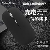 ���� ������������, ���������� �����������, ���������