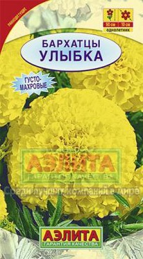 ������ ������������ ��������