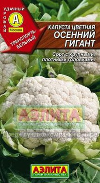 ������� ������ ������� �������