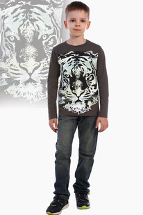 �������� ������� � ������� ������� �����