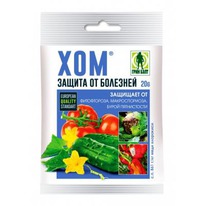 ���-���������� ���� 20� �� ������-�,������