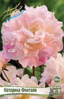 ���� �������� �������