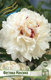 ���� ������� ������� 2/3n