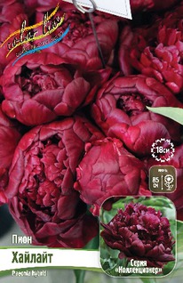 ���� �������