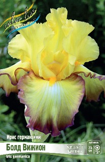 ���� ���������� ���� ������