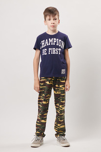 ���������� ����� �-1108: �������� �����