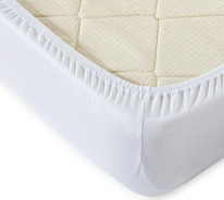 �������� ����������� � ������ 20�� �����, 120 �/�2