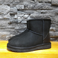 ���� �����������