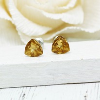 ������ V719176907260