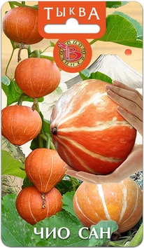 ����� ��� ���