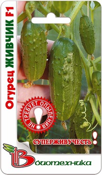 ������ ������ F1