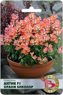 ���������� ����� F1 ����� �������