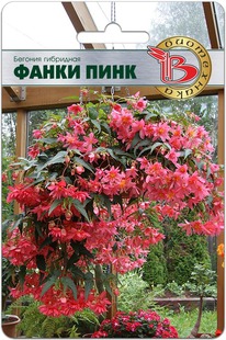 ������� ��������� ����� ���� (���������)