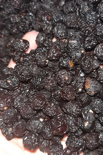 ����� �������, 0,5 ��