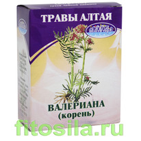 ���������, ������, 25 �, ���������, ������ �������