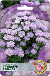 ����� ��������� �������� �������