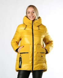 ������ RLR dm00153