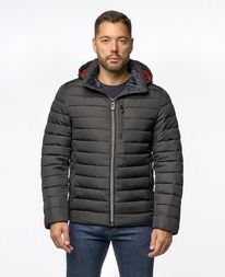 ������ ZAA 1685