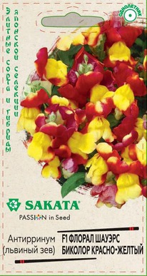 ������ ������ ������� ������-������ F1 ������� ���