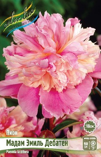 ���� ����� ����� �������, 2/3n