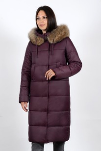 ������ ������