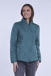 ������ ����