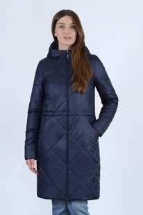 ���������� ����