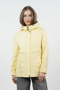 ������ ����