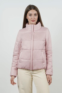 ������ ����