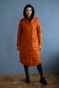 ������ ����