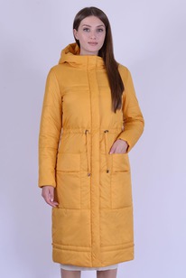 ������ ����