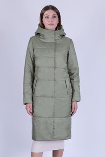 ������ ����