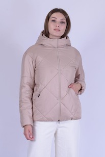 ������ ����