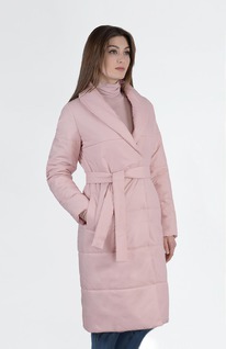 ������ ����