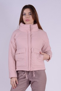 ������ ����