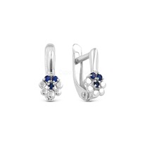 ������ �� ������������� ������� � ��������� 925 ����� 5039�208