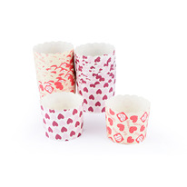 �������� �� 24 �������� ��� ������ 62x55�� (�������������� ������)