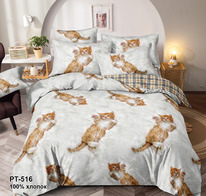 ������� ���������� ����� �� ������� - ����� (516)