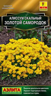 ������� ������� ���������