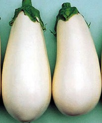 ������ ��������� ���� F1 : 5�� Seminis