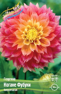 �������� ������ ������, �-� I, �������.