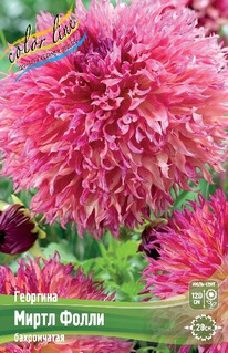 �������� ����� �����, �-� I, �������.