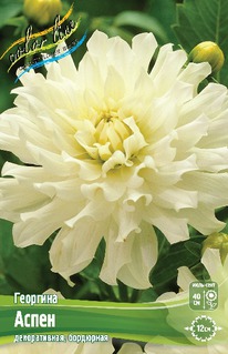 �������� �����, ������., �-� I