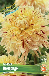 �������� ��������, ����� �����., �-� I