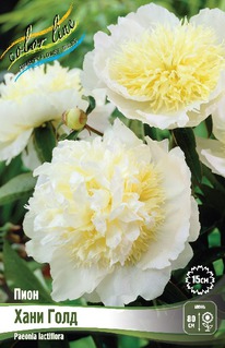 ���� ���� ����, 2/3n